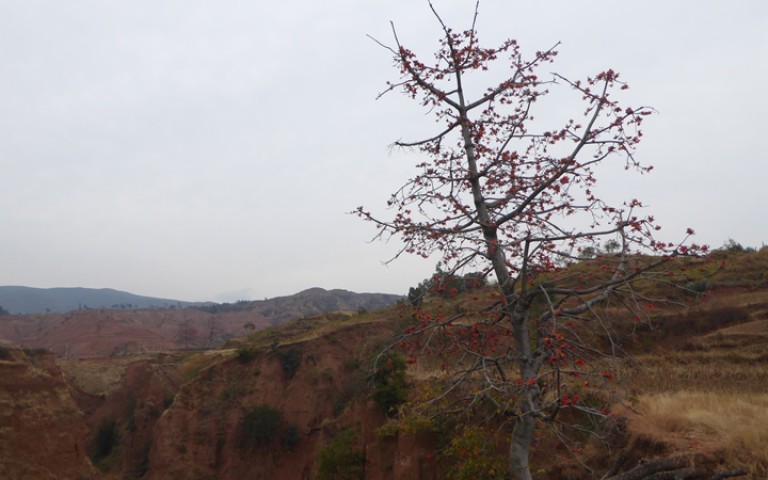 Yunnan_24